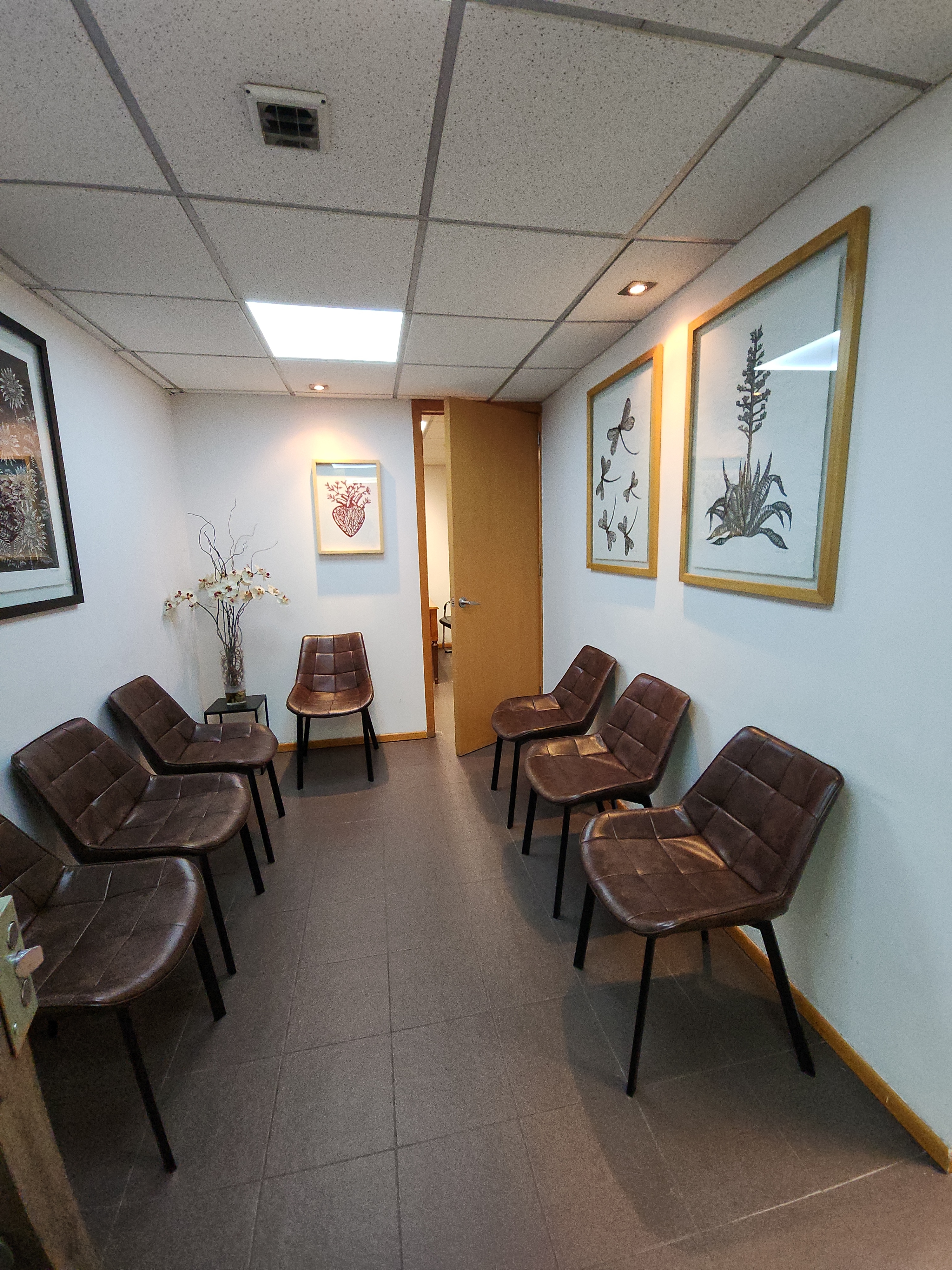 recepcion clinica vascular del sur