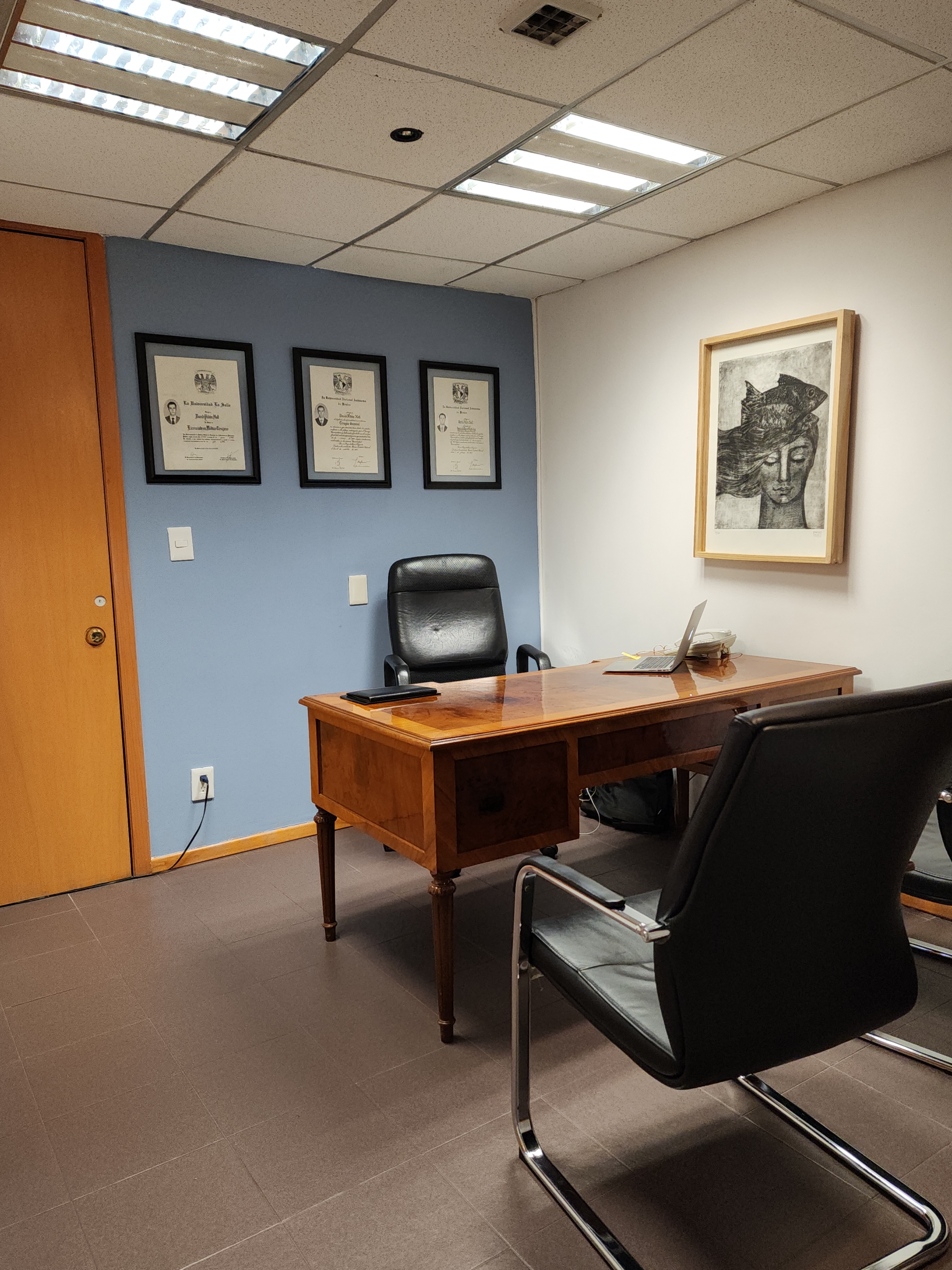 recuperacion clinica vascular del sur